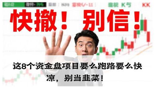 最新资金盘爆料,投资者需警惕的五大风险 第3张 最新资金盘爆料,投资者需警惕的五大风险 第3张
