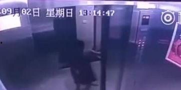 爆料电梯视频播放网站大全,电梯视频播放网站大全盘点  第2张