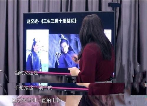 经纪人爆料视频,经纪人爆料视频背后的惊人内幕 第3张 经纪人爆料视频,经纪人爆料视频背后的惊人内幕 第3张
