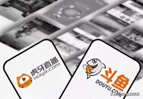 沫子爆料视频网站下载,揭秘视频网站下载背后的秘密 第2张 沫子爆料视频网站下载,揭秘视频网站下载背后的秘密 第2张