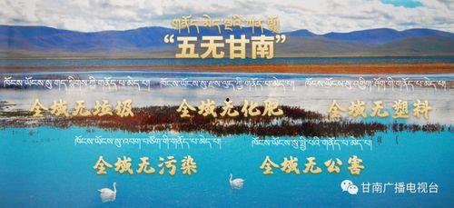 甘南最新爆料视频,揭秘神秘事件背后的真相 第2张 甘南最新爆料视频,揭秘神秘事件背后的真相 第2张