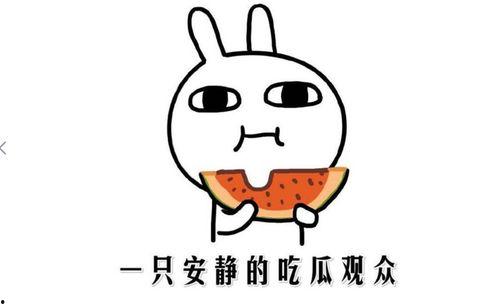 看抖音网红黑料吃瓜,吃瓜群众围观娱乐圈风云 第3张 看抖音网红黑料吃瓜,吃瓜群众围观娱乐圈风云 第3张