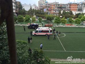 昆明小学爆料最新消息新闻,揭秘校园事件背后的真相 第2张 昆明小学爆料最新消息新闻,揭秘校园事件背后的真相 第2张