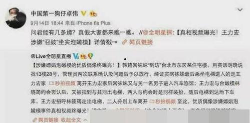 卓伟王力宏爆料视频大全,娱乐圈风云再起 第3张 卓伟王力宏爆料视频大全,娱乐圈风云再起 第3张