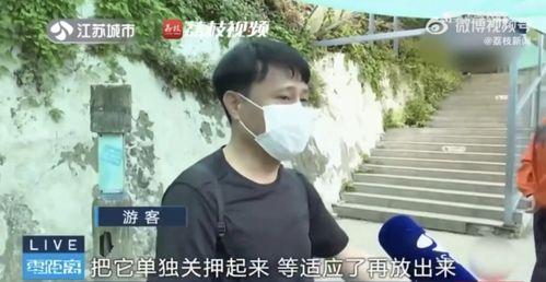 网红校园吃瓜完整版,完整版事件全记录