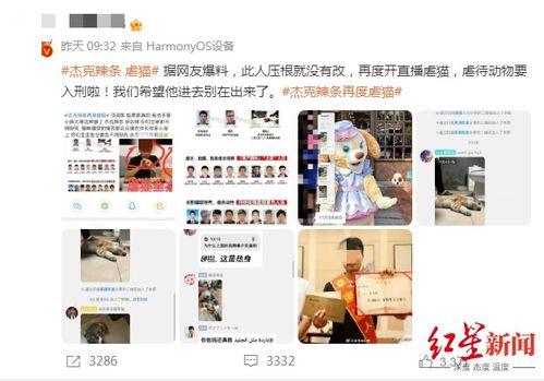 杰克新闻爆料视频,揭秘新闻背后惊人真相 第2张 杰克新闻爆料视频,揭秘新闻背后惊人真相 第2张