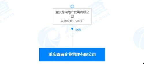 龙湖地产资金最新爆料,最新爆料揭示财务困境 第2张 龙湖地产资金最新爆料,最新爆料揭示财务困境 第2张