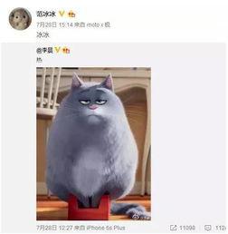 胖猫最新爆料视频,揭秘娱乐圈惊人内幕! 第3张 胖猫最新爆料视频,揭秘娱乐圈惊人内幕! 第3张
