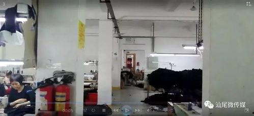 服装厂爆料视频,爆料视频揭示生产过程与行业真相