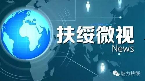 扶绥新闻爆料网官网,最新动态一网打尽，尽在官网揭晓