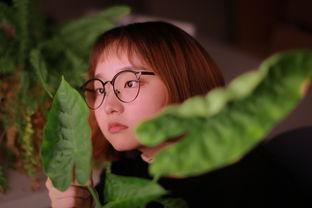 梦中的女孩在线观看,穿越梦境的奇幻之旅  第3张