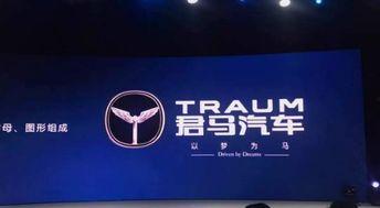 车城最新爆料信息网,揭秘汽车行业最新动态与趋势