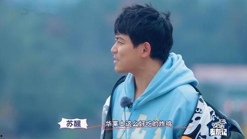 苏醒爆料吴克群视频播放,视频播放引发热议 第2张 苏醒爆料吴克群视频播放,视频播放引发热议 第2张