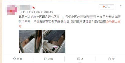 爆料养鸡套路视频播放大全,视频大全带你深入了解行业黑幕
