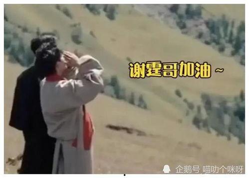 娱乐大瓜爆料姐弟恋视频,娱乐大瓜揭露视频引发热议  第3张