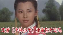 少林小子电影在线观看,传承武术，激荡青春