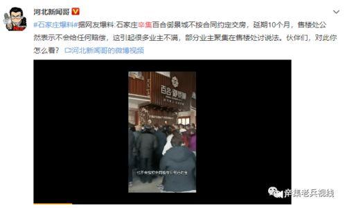 网友爆料背景故事视频,背景故事视频背后的惊人真相  第3张