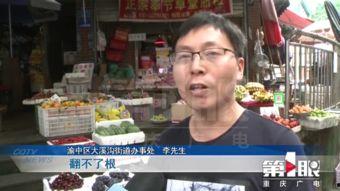 最新重庆爆料新闻,揭秘神秘事件背后的真相 第3张 最新重庆爆料新闻,揭秘神秘事件背后的真相 第3张