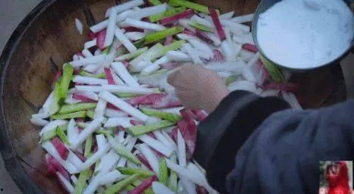 爆料泡菜制作过程视频,传统工艺与现代技术的完美融合 第2张 爆料泡菜制作过程视频,传统工艺与现代技术的完美融合 第2张
