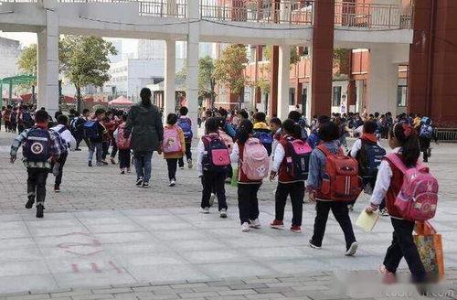 汕尾龙溪小学最新爆料,揭秘校园生活新篇章 第3张 汕尾龙溪小学最新爆料,揭秘校园生活新篇章 第3张
