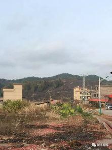 南安烧山最新爆料,揭秘真相与背后故事 第3张 南安烧山最新爆料,揭秘真相与背后故事 第3张
