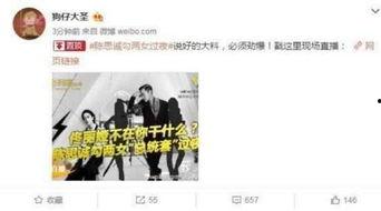 女子深夜爆料事件视频大全,揭秘社会阴暗面