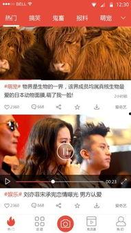 精选娱乐爆料视频下载,下载攻略大公开