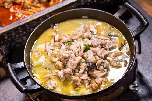 爆料牛蛙视频大全最新,最新爆料视频大全精彩呈现  第3张