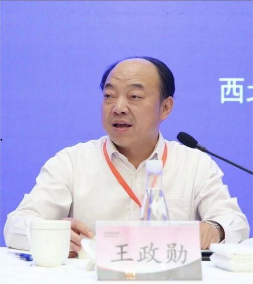 西北政法教授最新爆料,揭秘法学界惊人真相  第2张