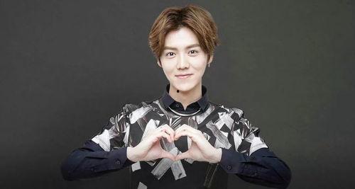 娱乐爆料鹿晗徐凯,揭秘明星幕后故事  第3张