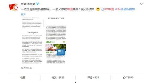 新疆网络爆料事件最新,揭秘背后真相与影响  第2张