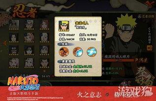 忍者爆料最新,最新爆料揭示神秘忍者世界