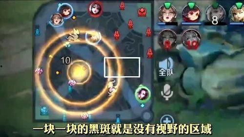 王者清明节爆料视频主播  第3张