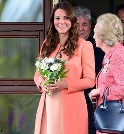 俄罗斯爆料凯特王妃视频,俄罗斯曝光凯特王妃私密视频引发舆论风暴