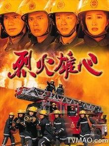 烈火雄心在线观看,燃烧激情，无畏挑战  第2张