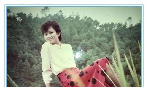 爆料肖战爸妈视频是真的吗,真相究竟如何？  第2张