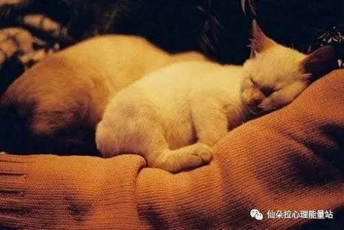 惊恐诊所在线观看,在线观看带你探索心理疗愈之旅  第3张