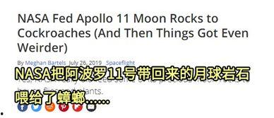 微量尘埃在线观看,在线探索微观世界的奇幻之旅  第2张