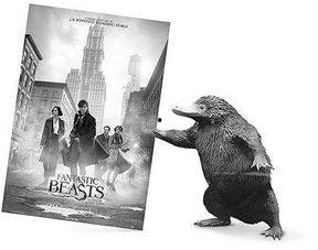 神奇动物在线观看,神奇动物在线观影之旅