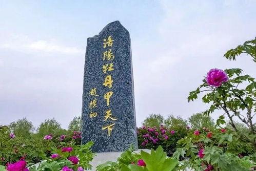 洛阳植物园爆料视频最新,探秘植物王国,邂逅自然奇观 第3张 洛阳植物园爆料视频最新,探秘植物王国,邂逅自然奇观 第3张