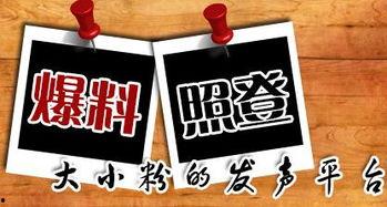 重庆敢爆料的新闻,敢爆料的新闻背后的真相与影响