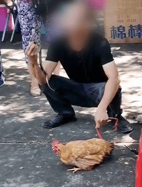 网友爆料被毒蛇咬伤视频,惊险瞬间！毒蛇咬伤紧急救援全过程  第2张