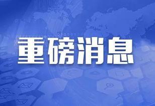 重磅新闻爆料怎么写文案,独家爆料直击新闻焦点，深度解析事件背后真相  第2张