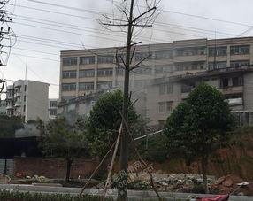 信宜中学爆料事件最新,揭秘校园风波背后的真相