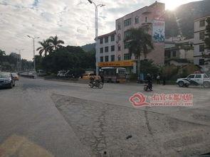 信宜中学爆料事件最新,揭秘校园风波背后的真相  第3张