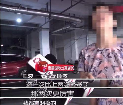 沈阳业主群爆料事件视频,揭露社区管理内幕 第3张 沈阳业主群爆料事件视频,揭露社区管理内幕 第3张