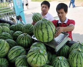 景德镇网红吃瓜群微信,揭秘网络社交圈的趣味与热议 第3张 景德镇网红吃瓜群微信,揭秘网络社交圈的趣味与热议 第3张