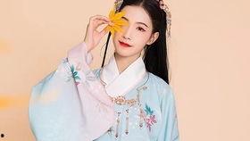 赤菊在线观看,揭秘神秘古墓的奇幻冒险之旅