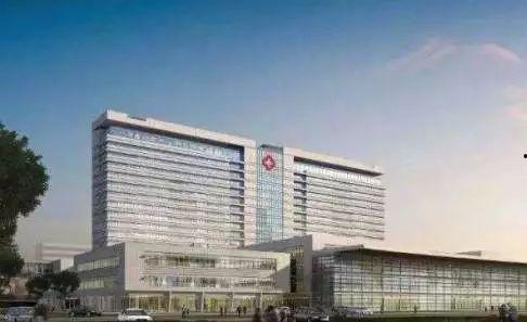 千金府s1最新爆料是什么,神秘剧情揭秘，精彩看点抢先看