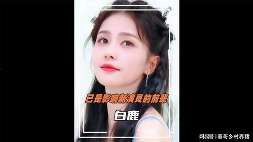内娱爆料白鹿事件视频,内娱爆料背后的真相